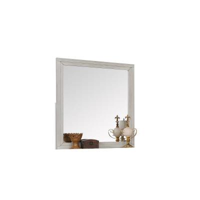 Darcy Collection Mirror - 1700W-6