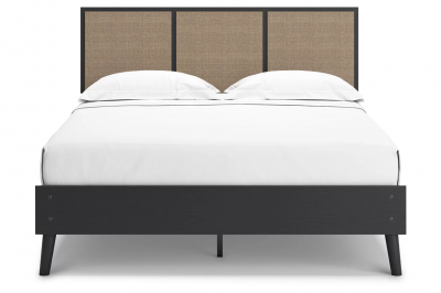 Charlang Queen Panel Platform Bed in Two-Tone - EB1198B2