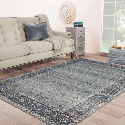 Koshani 5 X 8 Sahara Rug in Sage - SUNSH-SAHARA-4156