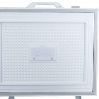 Danby Two Door 17.1 Cu. Ft. Chest Freezer - DCFM171A1WDB