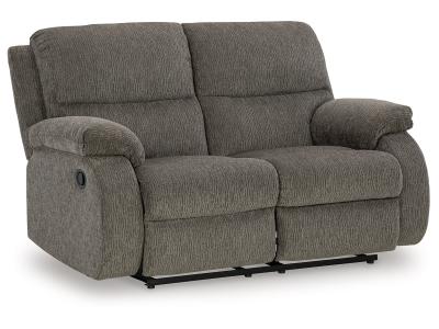 Scranto Reclining Loveseat Brindle - 6650286C