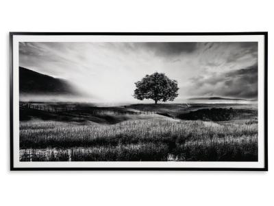 Wall Art/Deborland/Black/White A8000341