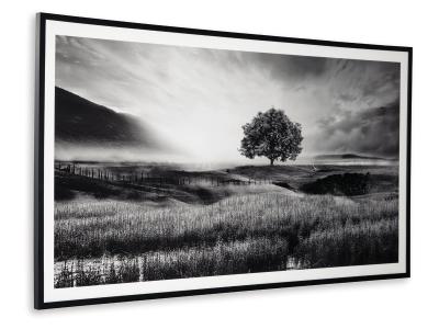 Wall Art/Deborland/Black/White A8000341