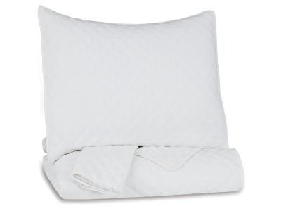 Twin Coverlet Set/Ryter/White Q721001T