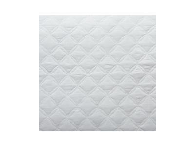 Twin Coverlet Set/Ryter/White Q721001T